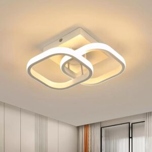 Modern Ceiling Light